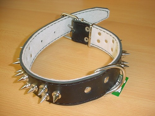 Hundehalsband mit