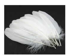 Deko Federn Basteln Hochzeit