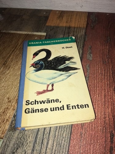 Schwäne gänse und enten - schwäne,,