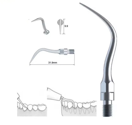 Zeg spitze tip passend für - 5x,