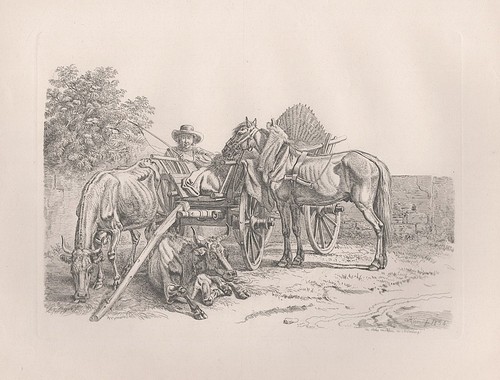 Nürnberg kutsche carriage - nürnberg,