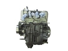 Motor 12459 km Kupplung