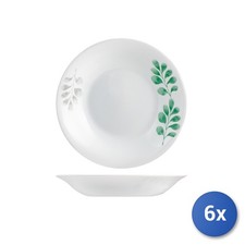 6x Glasteller Opal Botanisch