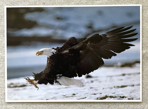Postkarte amerikanischer - ak,