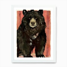 Schwarzbär kunstdruck gerahmt - kunstdruck,