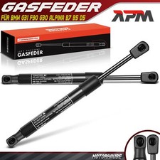 2x Gasfeder Dämpfer