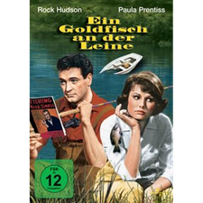 Ein Goldfisch an der Leine