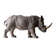 Nashorn Nashorn Tierwelt