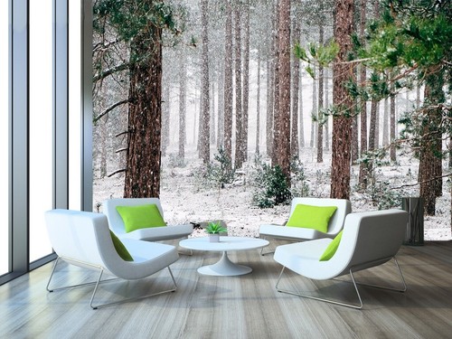 Schnee wald q6822 - wald, tapete