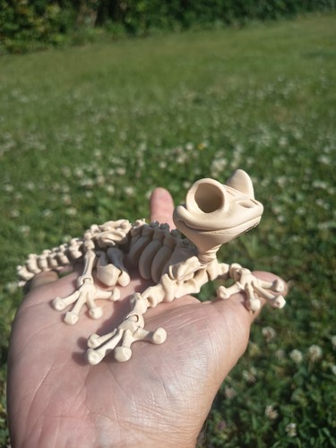 Gecko skelett figur - /, /