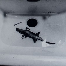 Lothar Baumgarten Caiman Spielzeug Griffelkunst Original Offsetdruck 1978