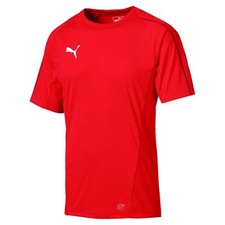 Puma FINAL Training Herren