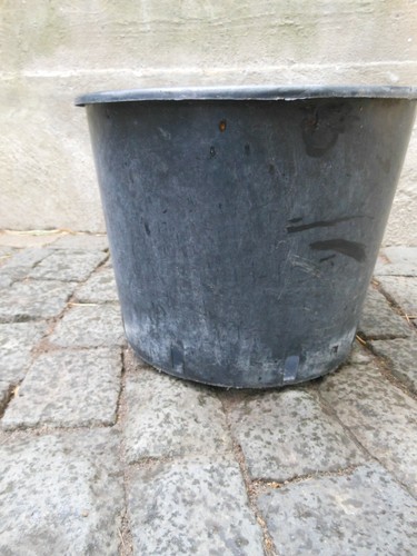 Garten umtopf anzuchttöpfe - garten,
