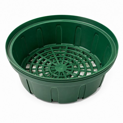 Blumenzwiebel pflanzschale - blumenzwiebel,