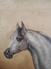 Atemberaubendes galoppierendes - atemberaubendes,