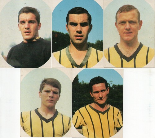 Sammelbilder alemannia - 5,