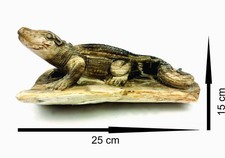 Einzigartiges Krokodil aus