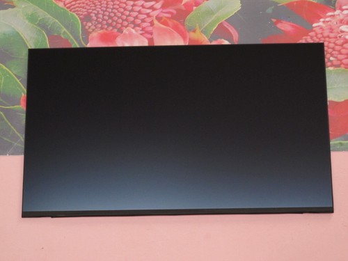Orig display wortmann terra - display,
