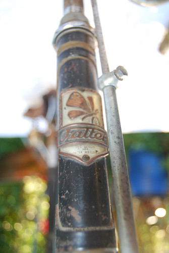 Alter antiker oldtimer falter - alter,