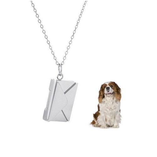 King charles spaniel hund - charles,