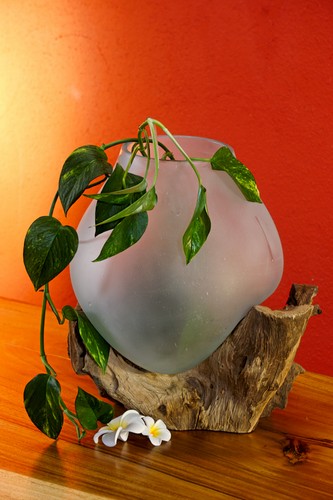 Deko glas auf wurzelholz - glas,