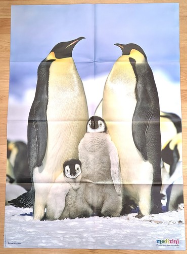 ✿RIESEN-TIERPOSTER