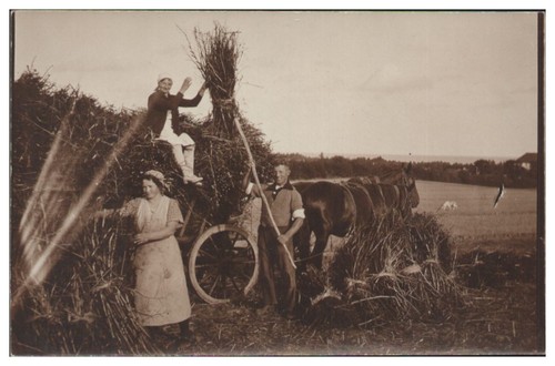 Xx2652 landwirtschaft bauern - landwirtschaft,