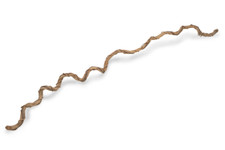 NaDeco Drachen Liane umwickelt