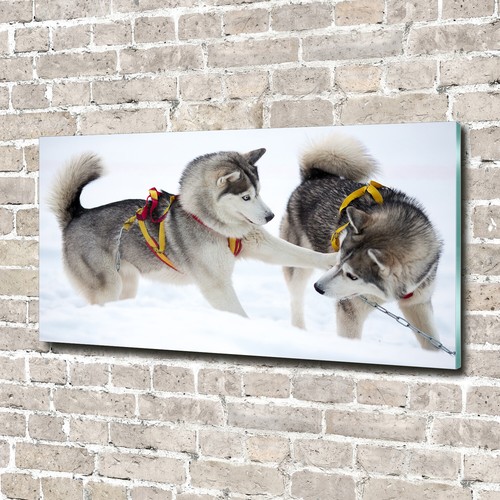 Wandbild aus plexiglas druck - wandbild, plexiglas®
