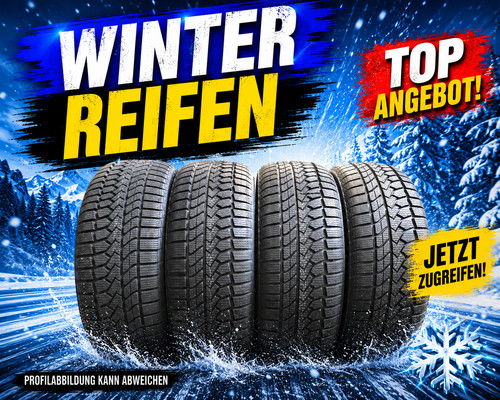 205 r16 91v - 1, satz)