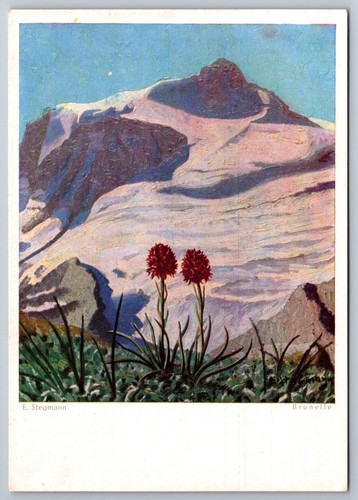 Stegmann brunelle - e.,