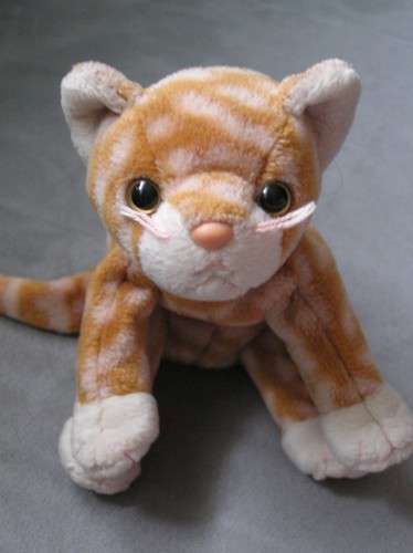 Katze amber 1999 - ty,