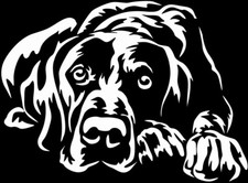 DEUTSCH KURZHAAR Aufkleber -