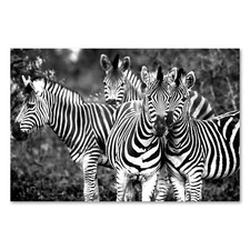 Postereck 1556 Poster Leinwand