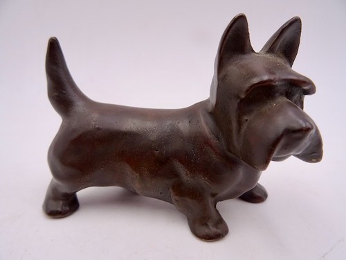 Feiner hund terrier - bronze, /