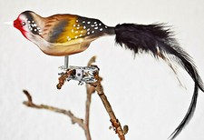 ❀ Stieglitz Glas Vogel Feder