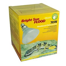 Lucky Reptile Bright Sun FLOOD