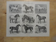 Orig.(1908) Holzstich Bergbau