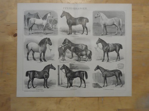 Orig holzstich bergbau - orig.(1908),