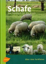 Fischer Rieder, Schafe, Fotobuch f Praxis Schafhaltung Schafzucht Verhalten 2004
