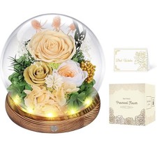 Konservierte gelbe Rosenblume