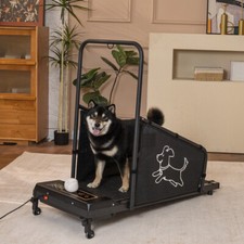 Dog treadmill for medium - for, dogs