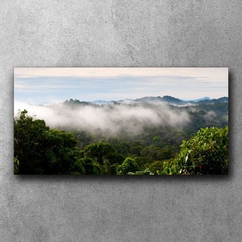 Leinwand wandbilder canvas - wandbilder,