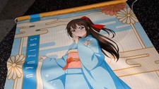 44x Anime Wallscrolls aus Japan / Stoffposter Poster Manga Sammlung