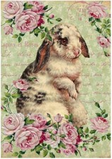 Decoupage-Bastelpapier-Softpap