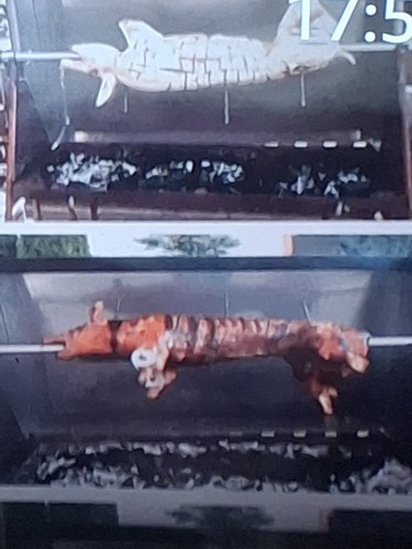 Spanferkel grill mit vor - spanferkel,