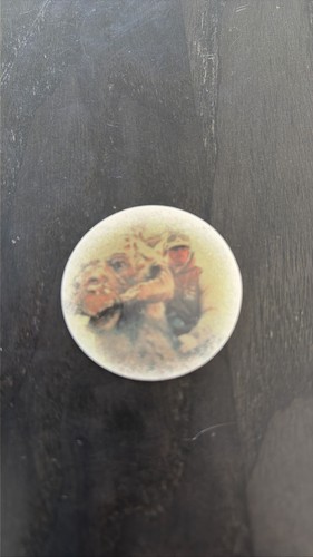Camel cigarettes lapel pin - cigarettes,