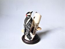 Vogelwelt Collection Andy