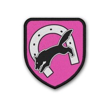 Panzerbataillon 64 PzBtl Wolfhagen Bundeswehr die Wölfe Pommern Kaserne #38640