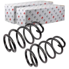 2X NK FAHRWERKSFEDERN SATZ